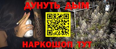 ГАЛЛЮЦИНОГЕННЫЕ ГРИБЫ Нальчик