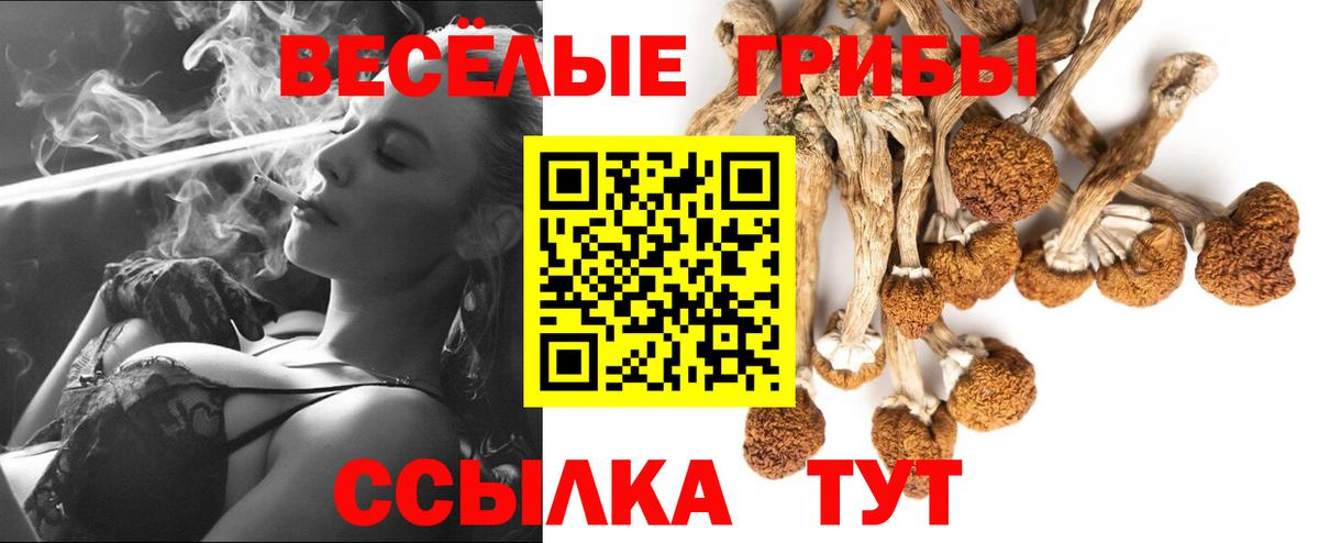Псилоцибиновые грибы ЛСД Шелехов
