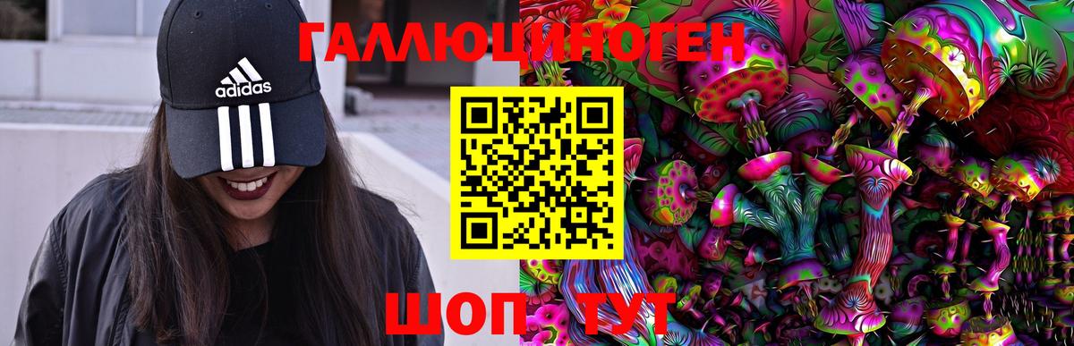 Псилоцибиновые грибы GOLDEN TEACHER  Вход с VPN  Шелехов 